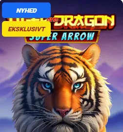 Dragon Tiger Arrow